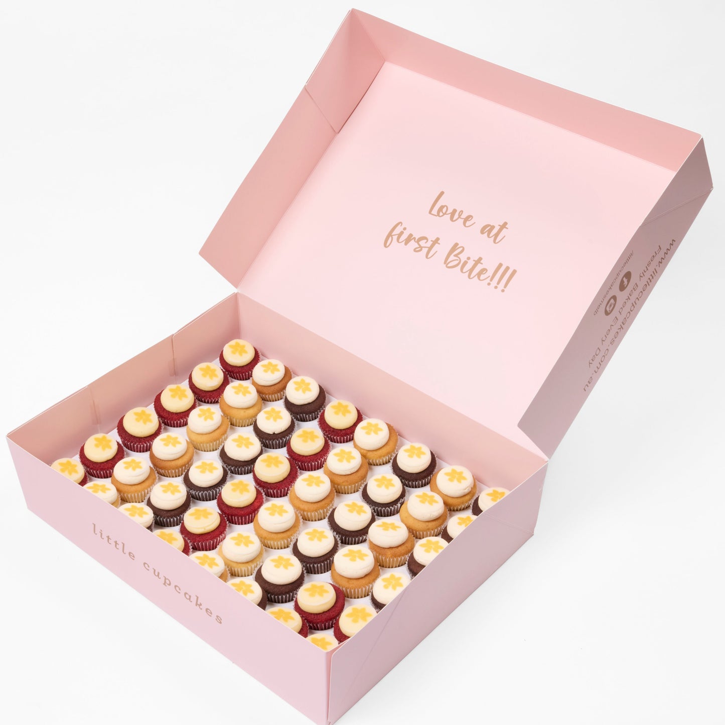 Daffodil Day - Cancer Council Cupcakes 48 Minis