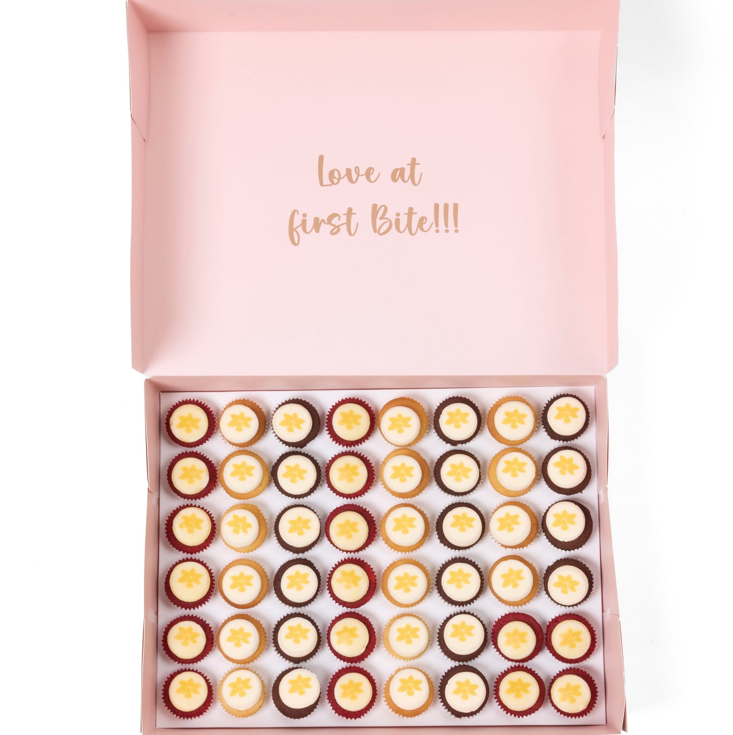 Daffodil Day - Cancer Council Cupcakes 48 Standards