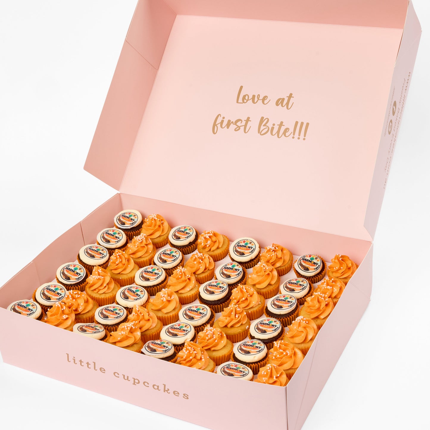 Harmony Day Cupcakes