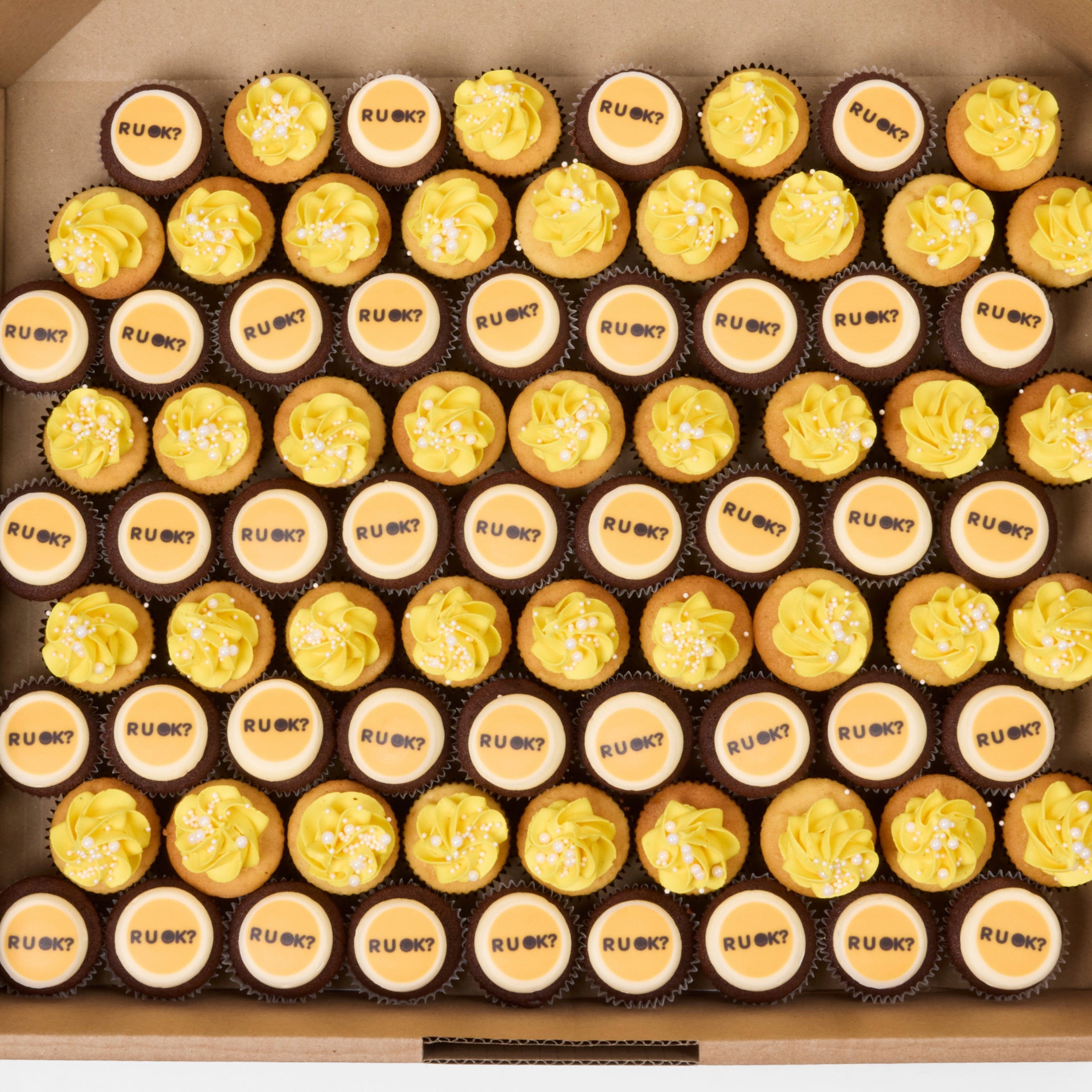 Shop R U OK? Cupcakes – 80 Mini Size Online in Australia – Little Cupcakes
