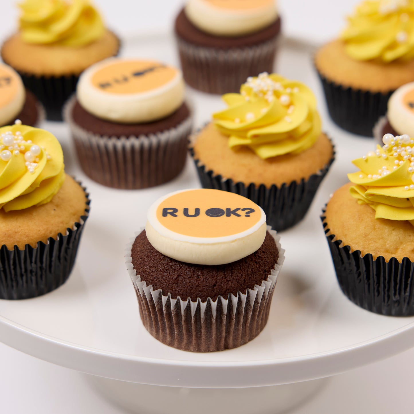 R U OK? Cupcakes 48 Standards