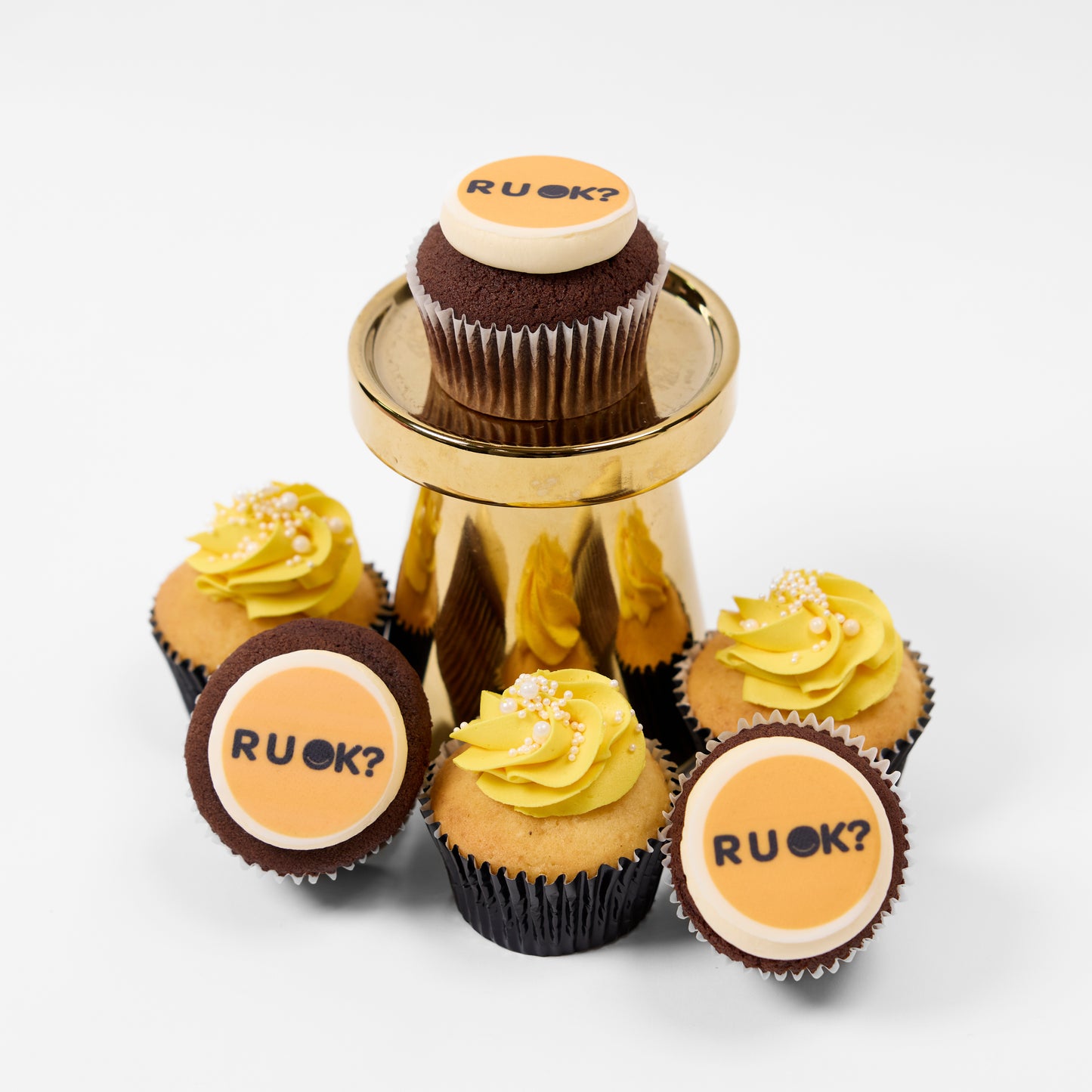 R U OK? Cupcakes 12 Standards