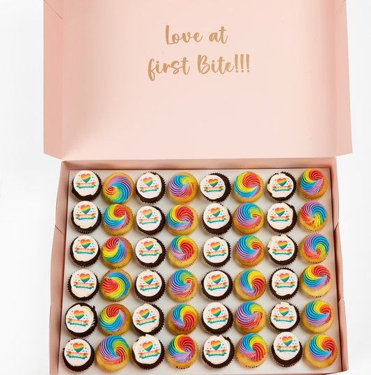 PRIDE themed Cupcakes - 48 Standards
